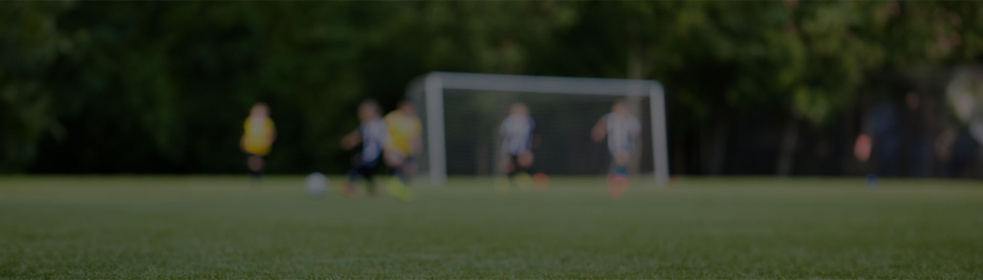 Slide Desktop 2 of 3