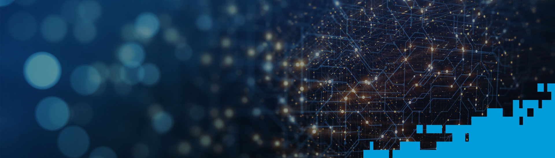 Slide Desktop 2 of 3